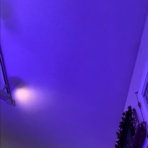 Meet your Posher, Isabelle